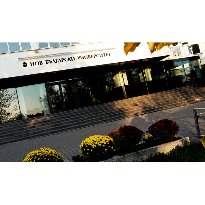 p1050872_700x700_pad_478b24840a