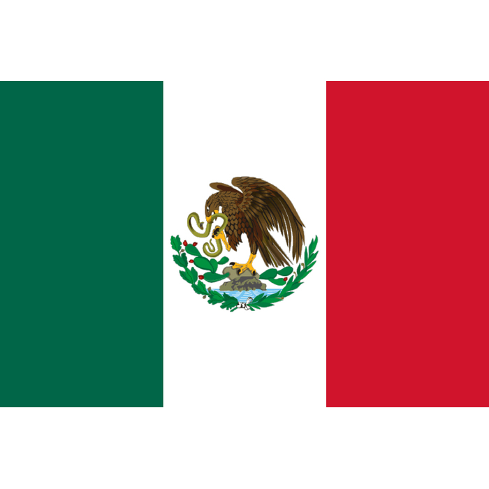 flag-of-mexico-1917_700x700_pad_478b24840a