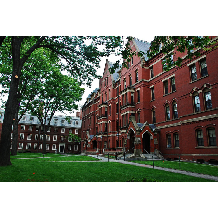 harvard_700x700_pad_478b24840a