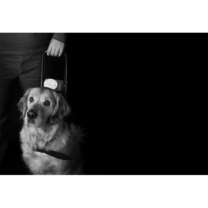 kuche_700x700_pad_478b24840a