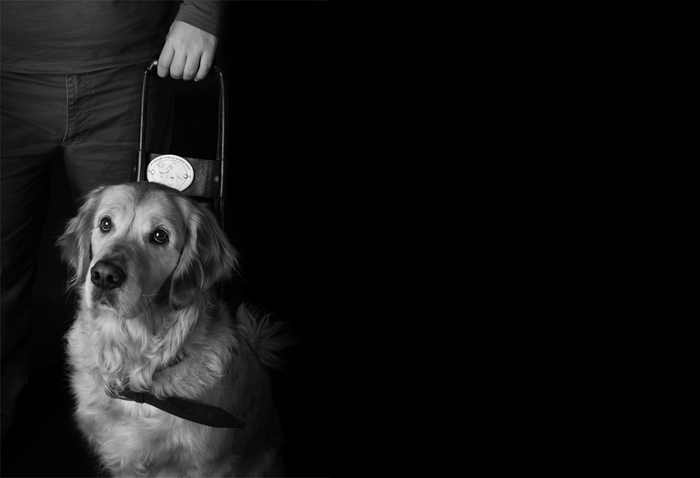 untitled-1_700x700_fit_478b24840a