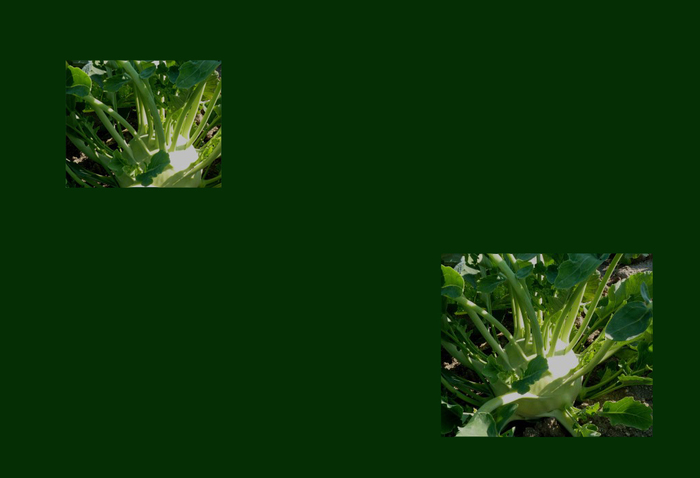 ze_700x700_fit_478b24840a