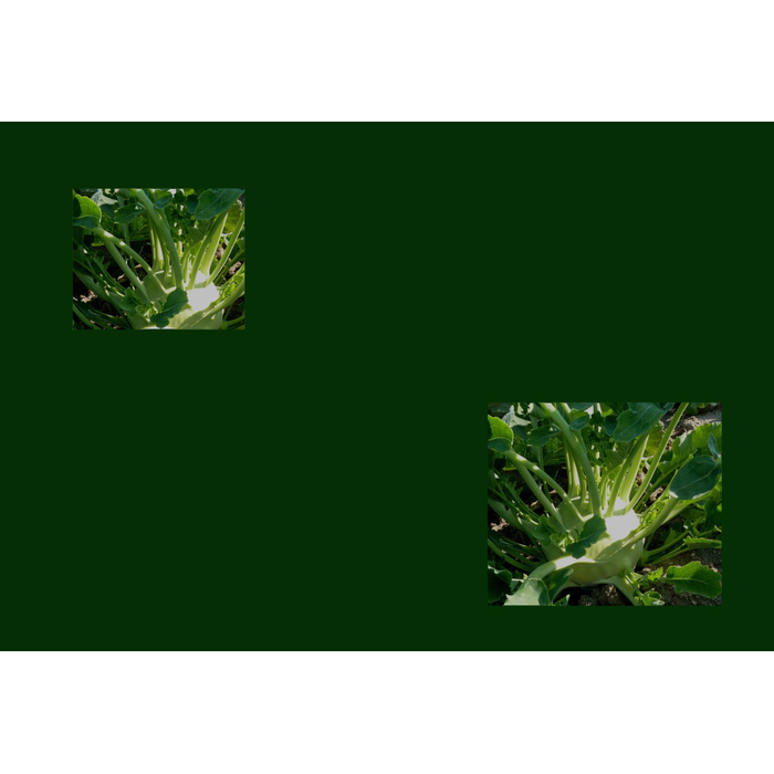 ze_700x700_pad_478b24840a