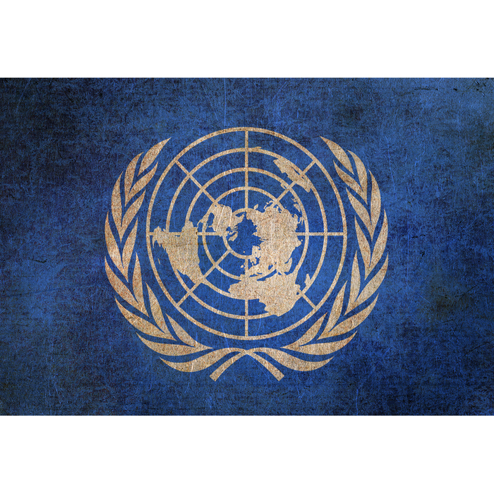 oon-1_700x700_pad_478b24840a