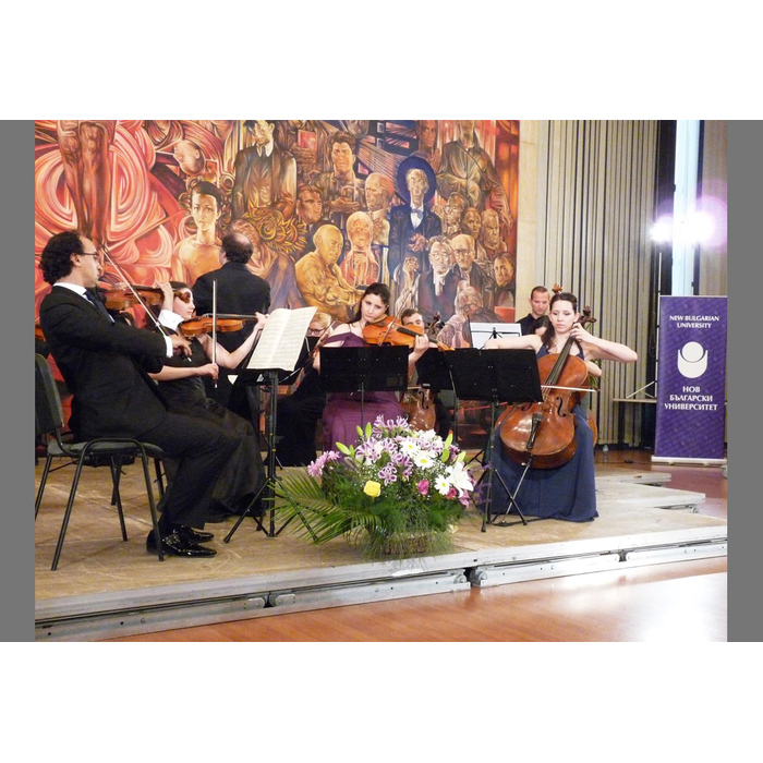 h1_700x700_pad_478b24840a