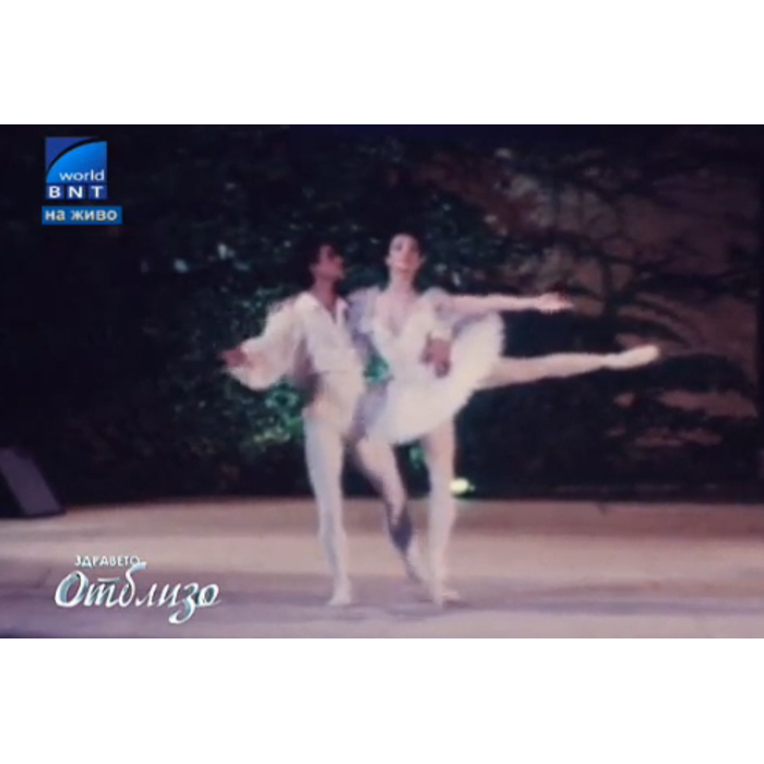 bnt1-05_700x700_pad_478b24840a