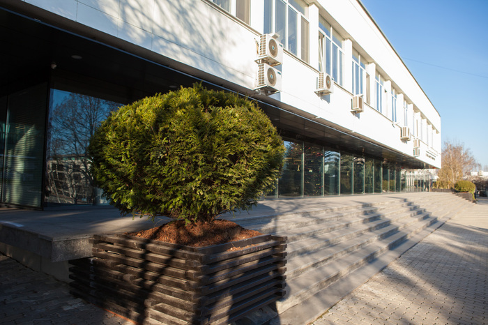 img-0010_700x700_fit_478b24840a