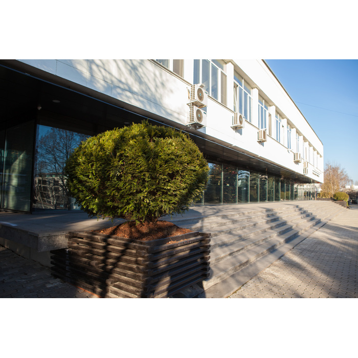 img-0010_700x700_pad_478b24840a