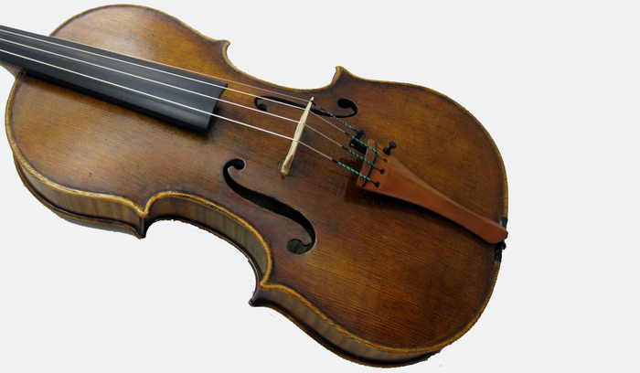 viola_700x700_fit_478b24840a