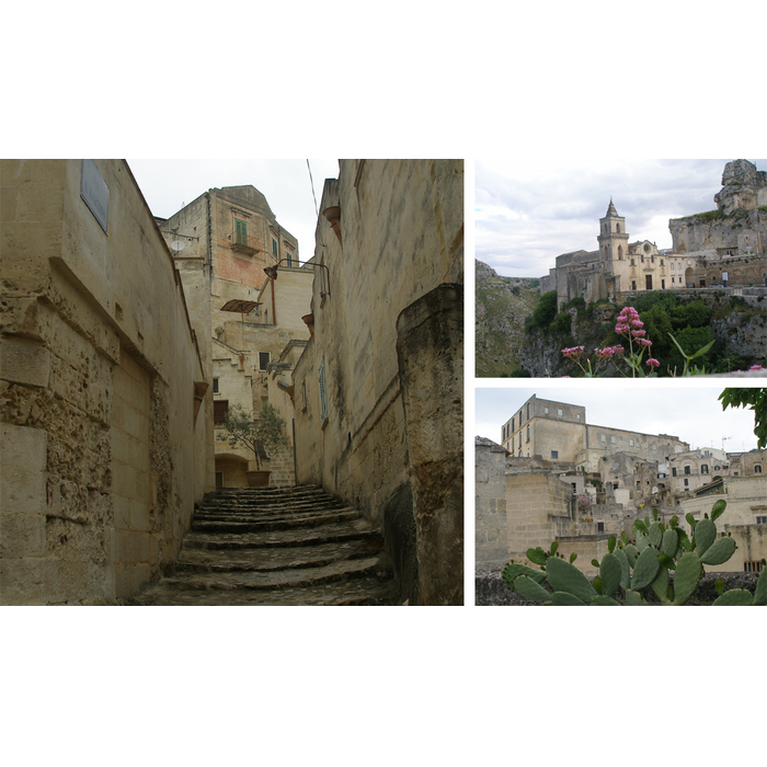 untitled-2_700x700_pad_478b24840a