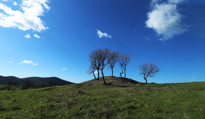 archeology3_700x700_fit_478b24840a