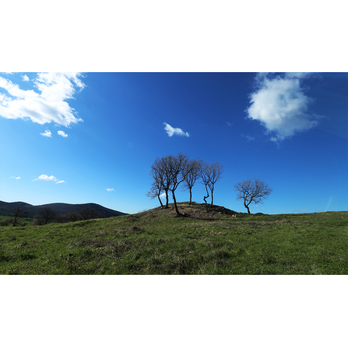 archeology3_700x700_pad_478b24840a