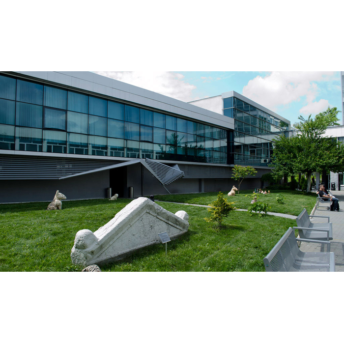 dsc0053-copy_700x700_pad_478b24840a