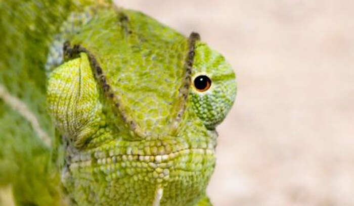 seminar-1_700x700_fit_478b24840a