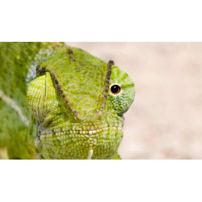 seminar-1_700x700_pad_478b24840a