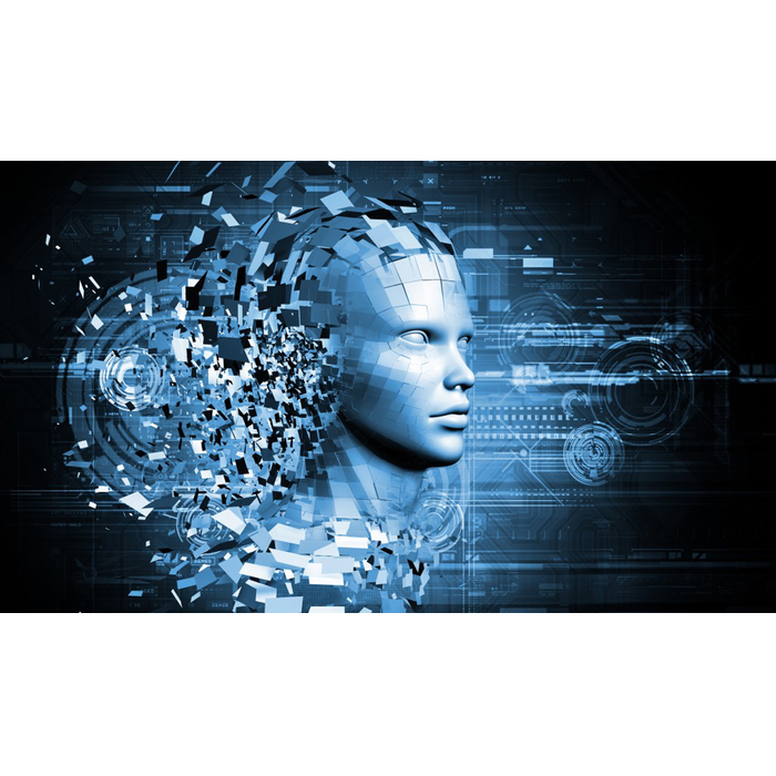 informatika_700x700_pad_478b24840a