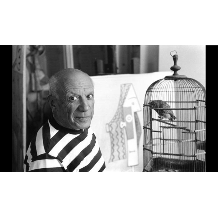 picaso-web_700x700_pad_478b24840a