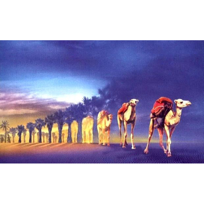 realism-illusion_700x700_pad_478b24840a