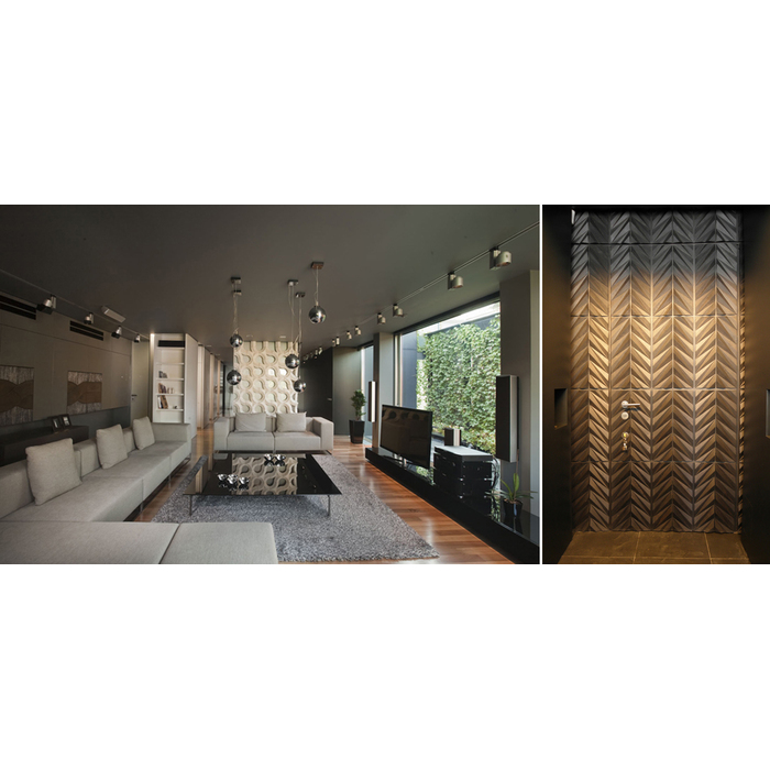 aedes-1_700x700_pad_478b24840a