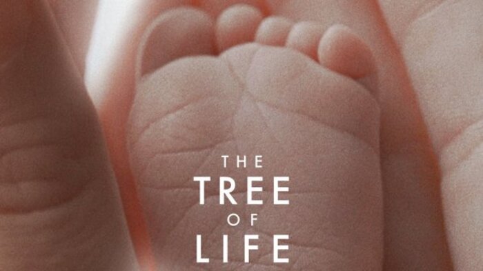 dyrvoto-na-jivota-e-naij-dobriqt-film-na-2011-g-44648_700x700_fit_478b24840a