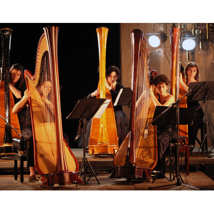 img-4894_700x700_pad_478b24840a