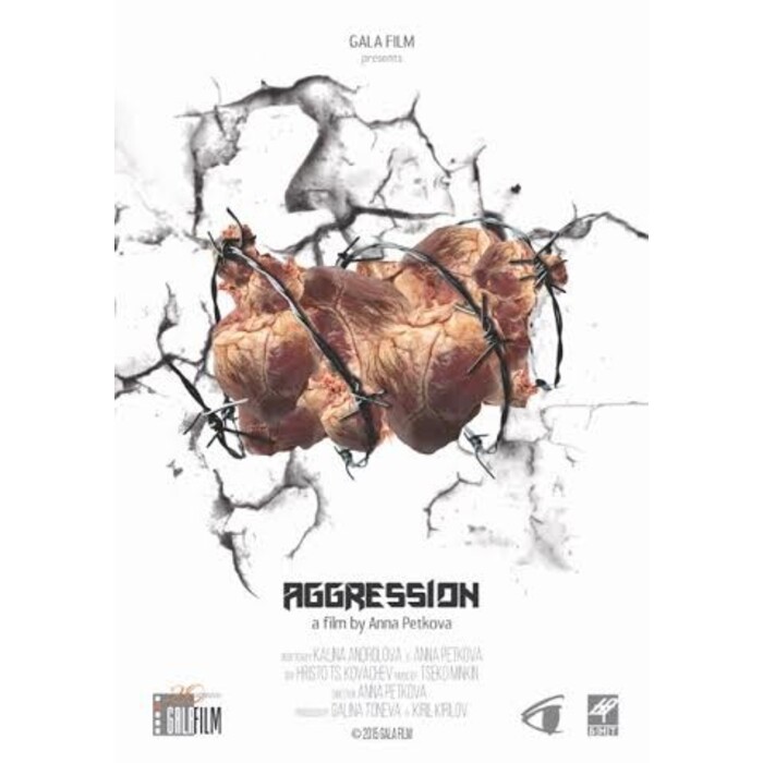 a764a240-b752-4ac1-932a-0f70bfe622be_700x700_pad_478b24840a