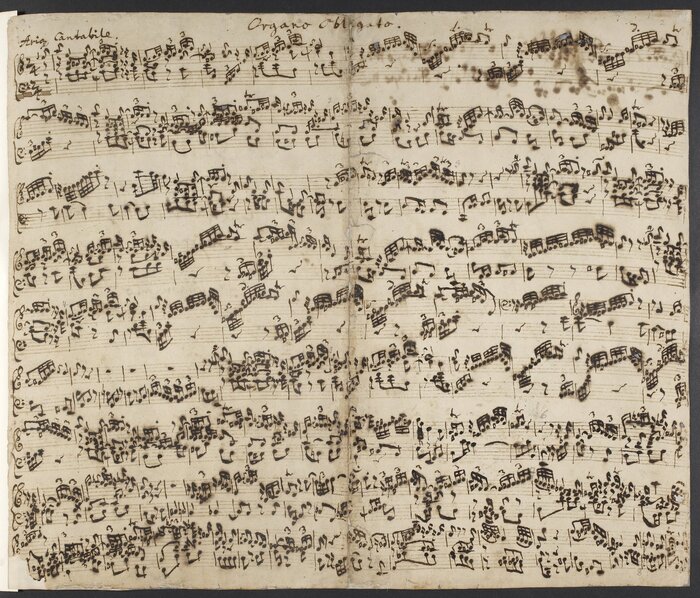 bach-wf-add-50115f2r_700x700_fit_478b24840a