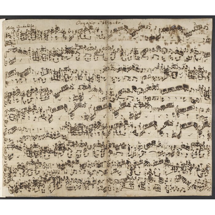 bach-wf-add-50115f2r_700x700_pad_478b24840a