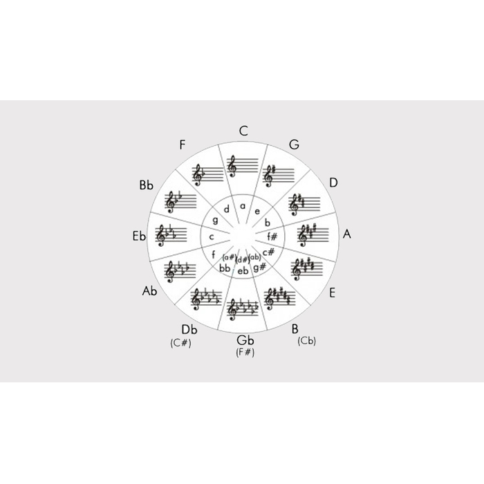 kvintov-kvartov-krug_700x700_pad_478b24840a