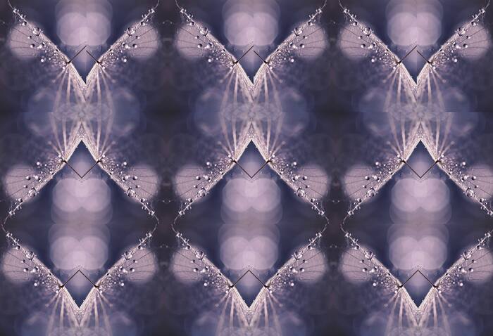 pril-3_700x700_fit_478b24840a