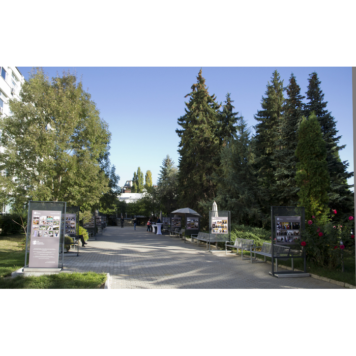 dsc-0070_700x700_pad_478b24840a