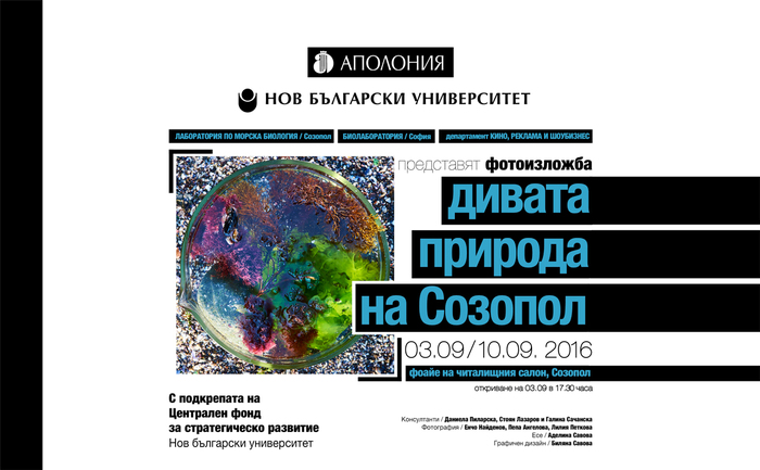 izlojba-nbu-bio-sozopol-2016-poster-web_700x700_fit_478b24840a