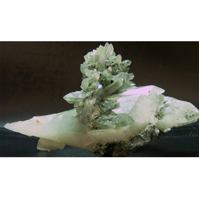 prirodni-naukifdg_700x700_pad_478b24840a