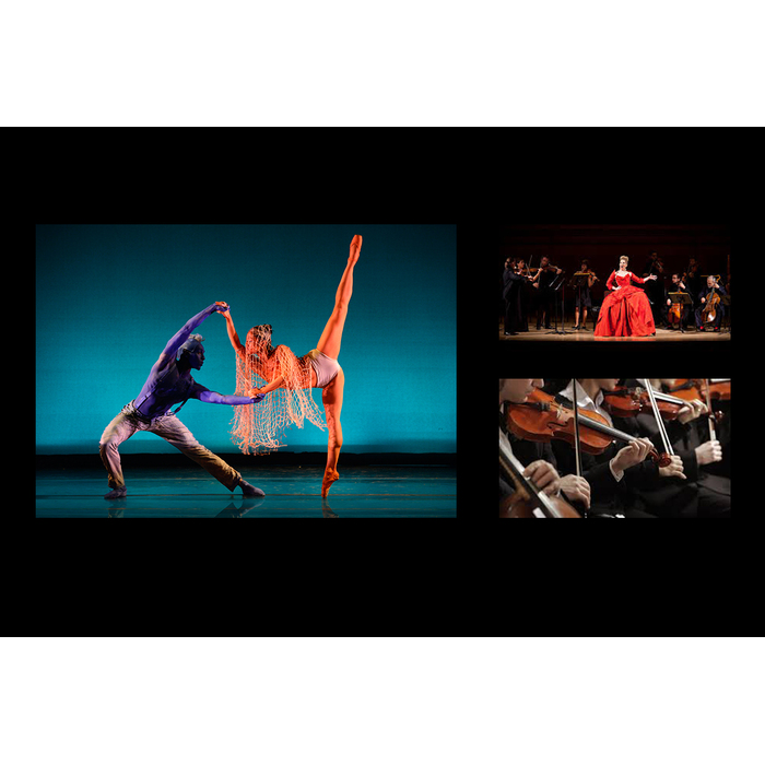 alexander-technique_700x700_pad_478b24840a