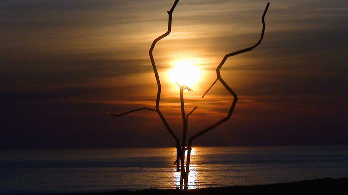 dsc00420web_700x700_fit_478b24840a