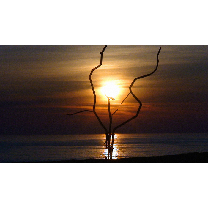 dsc00420web_700x700_pad_478b24840a