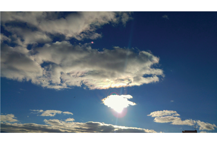 ma1_700x700_fit_478b24840a