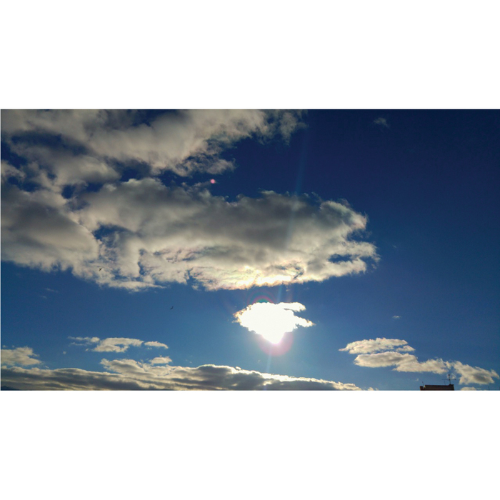 ma1_700x700_pad_478b24840a