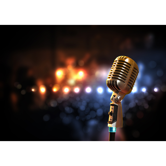 vocal_700x700_pad_478b24840a