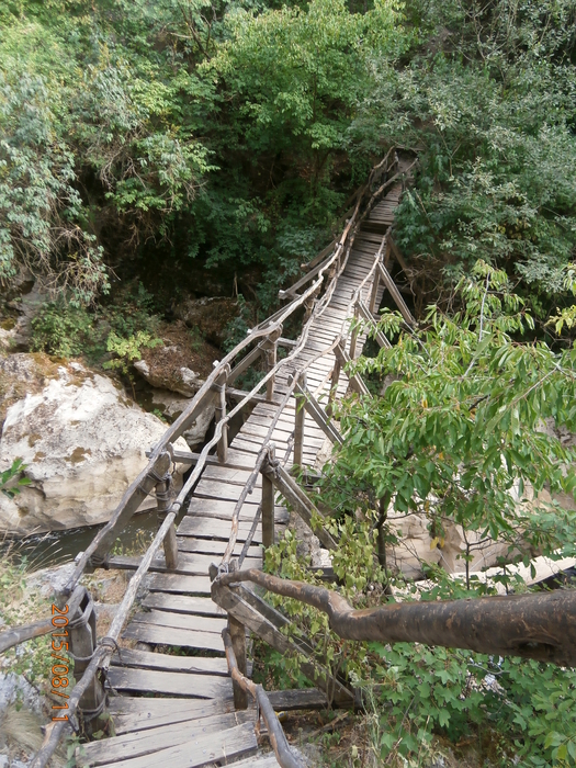 zt-jan-2017_700x700_fit_478b24840a