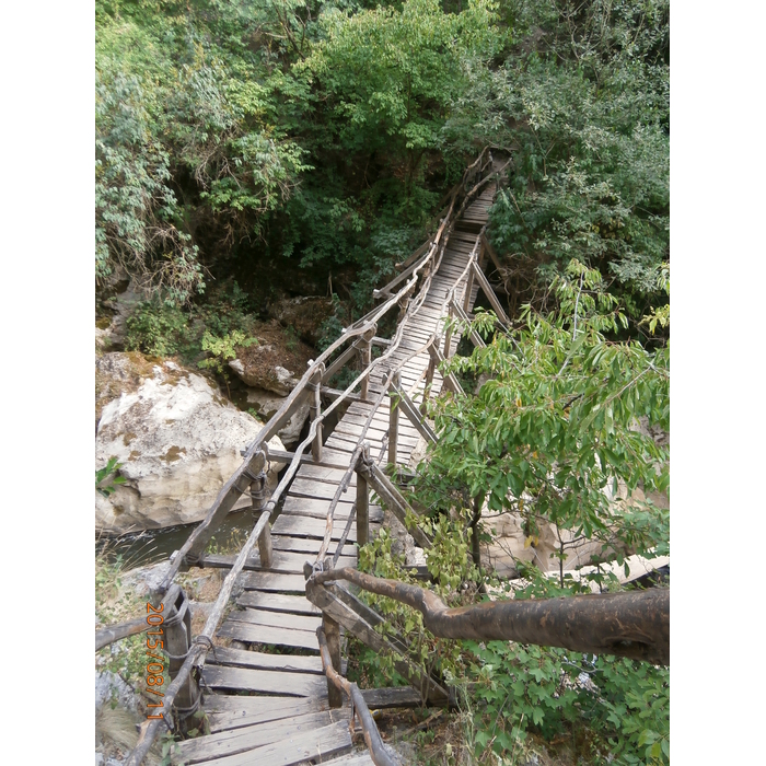 zt-jan-2017_700x700_pad_478b24840a