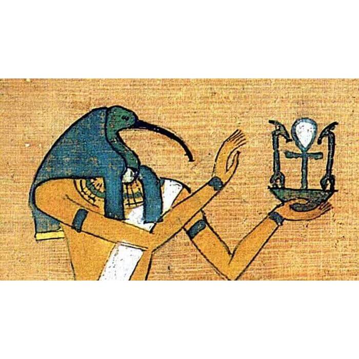 00129_700x700_pad_478b24840a