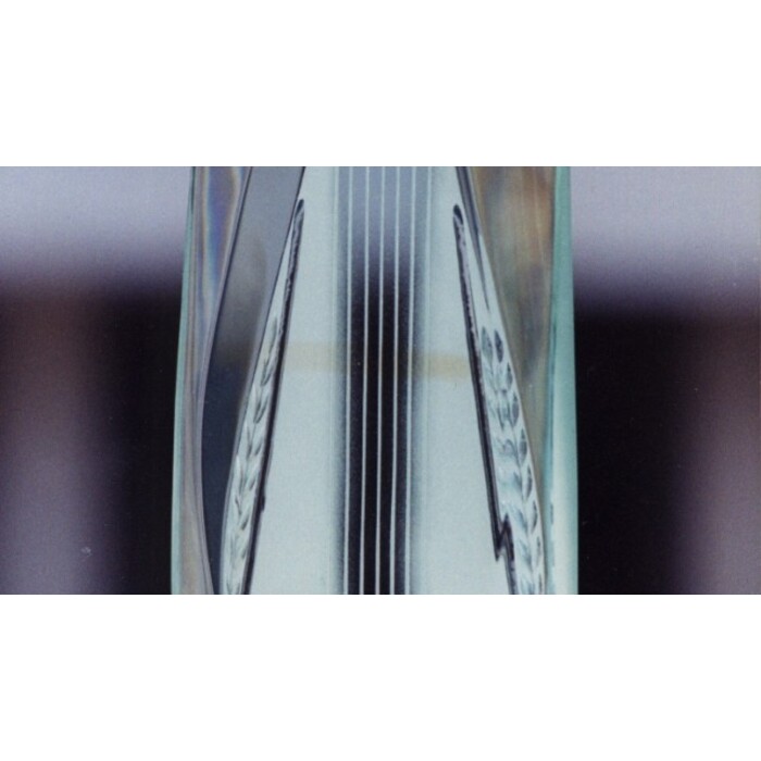 2110262319_700x700_pad_478b24840a