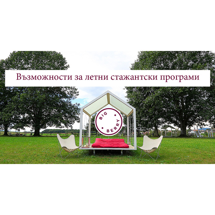 big-berry-staj_700x700_pad_478b24840a