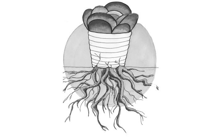 chasha_700x700_fit_478b24840a