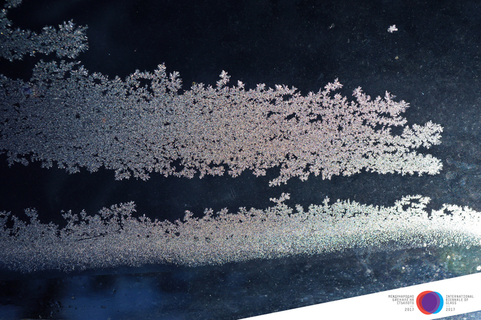 mariya-adrianova-veleva-photography-competition1jpg_700x700_fit_478b24840a