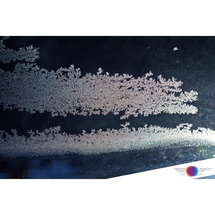 mariya-adrianova-veleva-photography-competition1jpg_700x700_pad_478b24840a