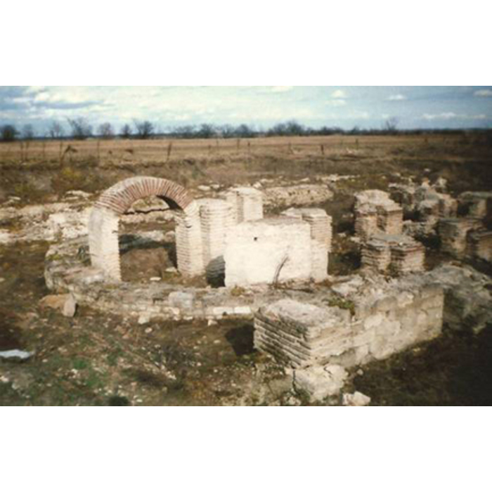 raciariq_700x700_pad_478b24840a