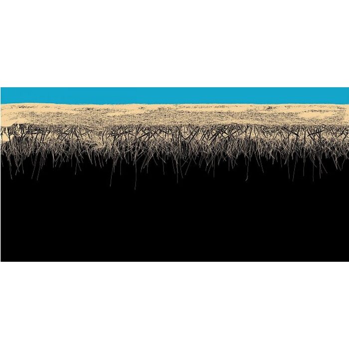 starchev_700x700_pad_478b24840a