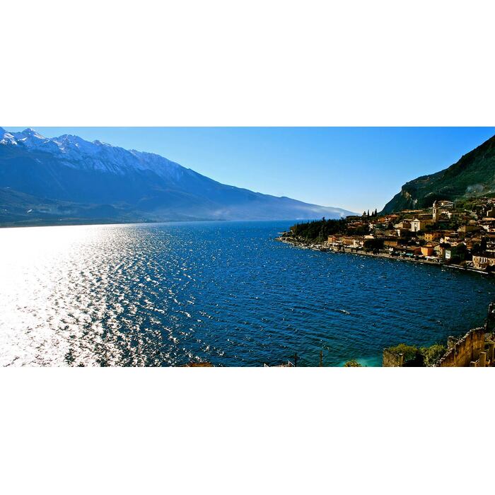 39259-lizo999_700x700_pad_478b24840a